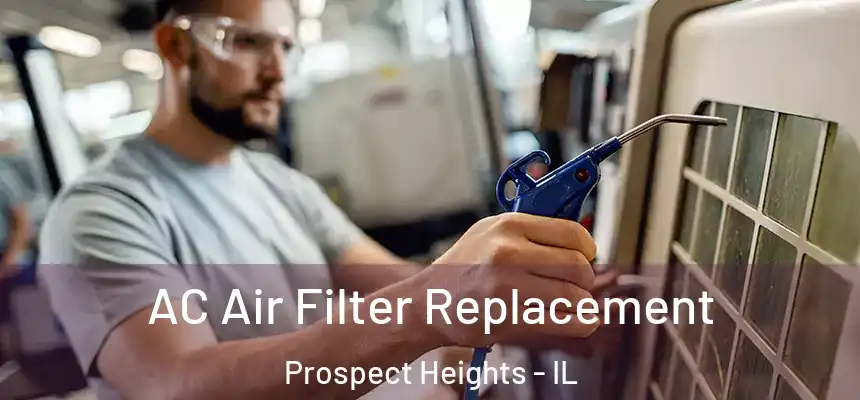  AC Air Filter Replacement Prospect Heights - IL