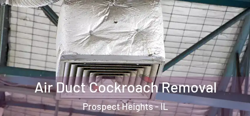  Air Duct Cockroach Removal Prospect Heights - IL
