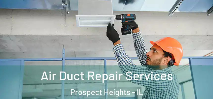 Air Duct Repair Services Prospect Heights - IL