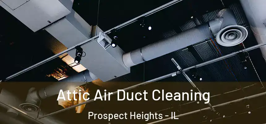 Attic Air Duct Cleaning Prospect Heights - IL