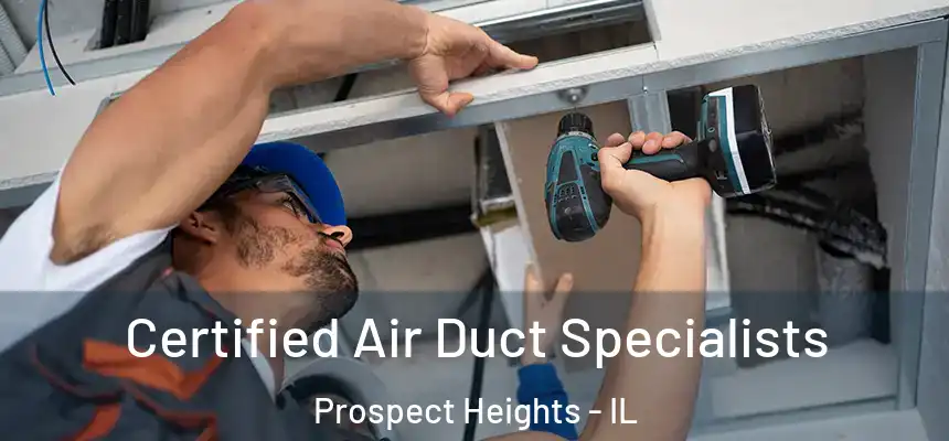  Certified Air Duct Specialists Prospect Heights - IL