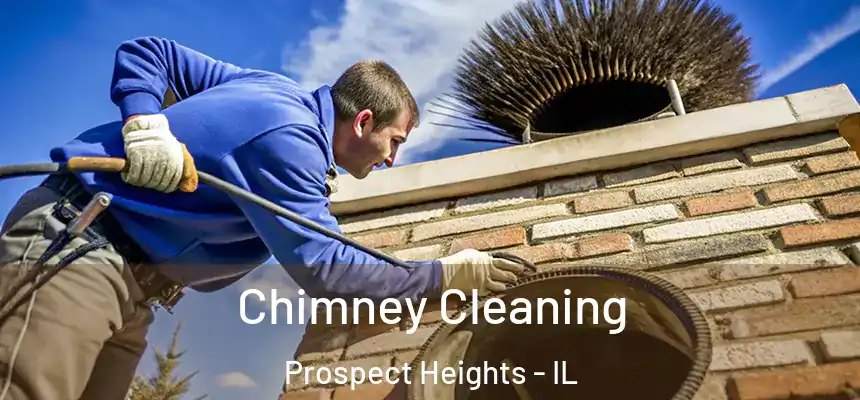  Chimney Cleaning Prospect Heights - IL