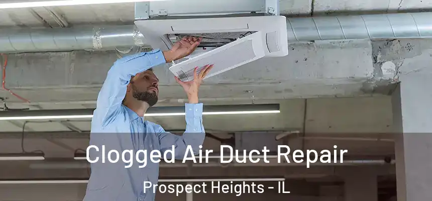 Clogged Air Duct Repair Prospect Heights - IL