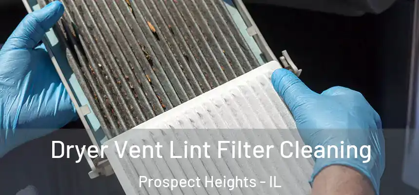  Dryer Vent Lint Filter Cleaning Prospect Heights - IL