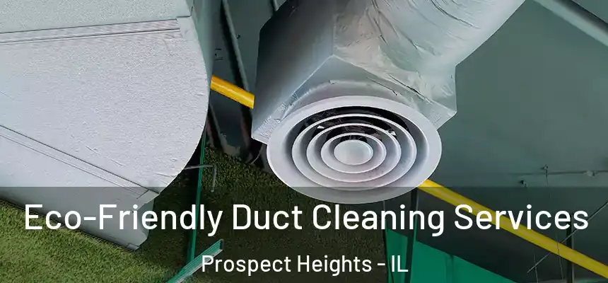  Eco-Friendly Duct Cleaning Services Prospect Heights - IL