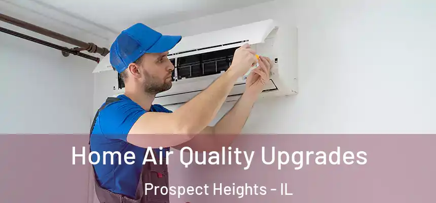 Home Air Quality Upgrades Prospect Heights - IL