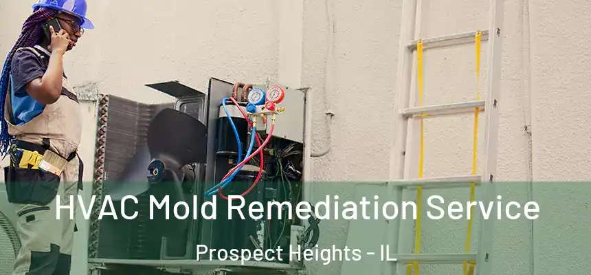 HVAC Mold Remediation Service Prospect Heights - IL