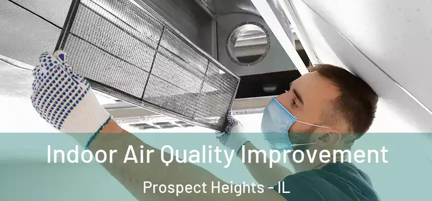 Indoor Air Quality Improvement Prospect Heights - IL