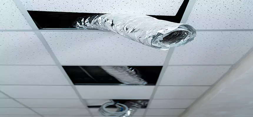 Our Air Duct Pet Hair Removal Services in Prospect Heights, IL