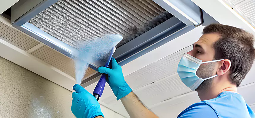 Proactive Dryer Vent & Auxiliary Duct Pollen Cleanup in Prospect Heights, IL