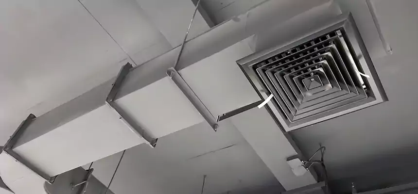 Restorative Allergy Relief Vent Cleaning – Coil, Blower & Housing Detail in Prospect Heights