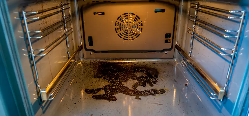 Our Dryer Vent Mold Cleaning Services in Prospect Heights, IL