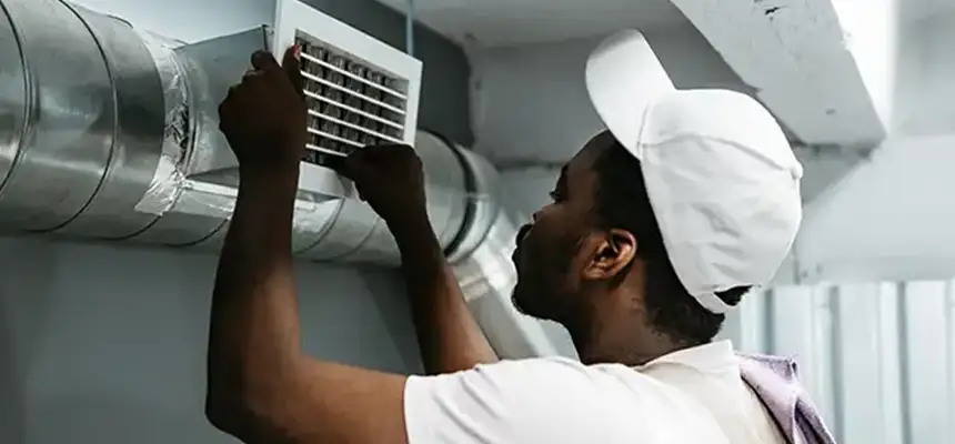 Our Licensed And Insured Cleaners in Prospect Heights, IL