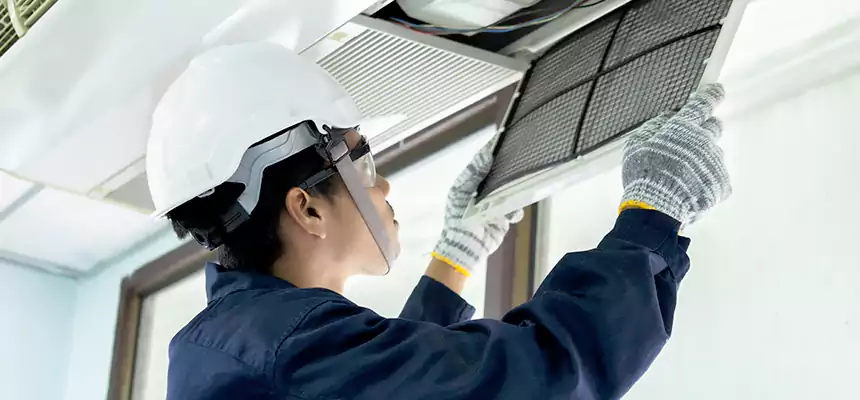 Our Mold & Mildew Removal from Air Ducts Services in Prospect Heights, IL