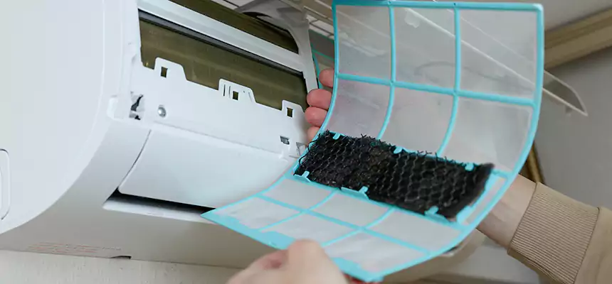 Gentle Ductwork Odor-Control Pet Dander Duct Cleaning in Prospect Heights, IL