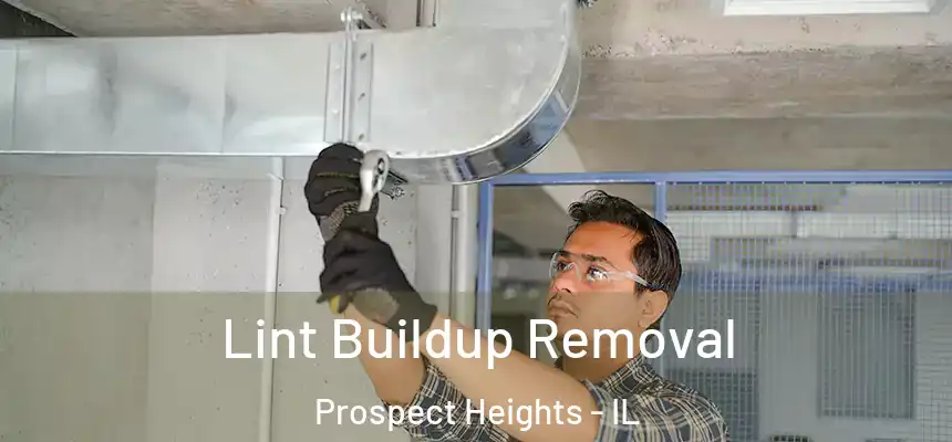  Lint Buildup Removal Prospect Heights - IL