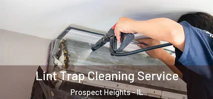  Lint Trap Cleaning Service Prospect Heights - IL