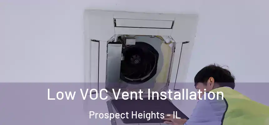  Low VOC Vent Installation Prospect Heights - IL
