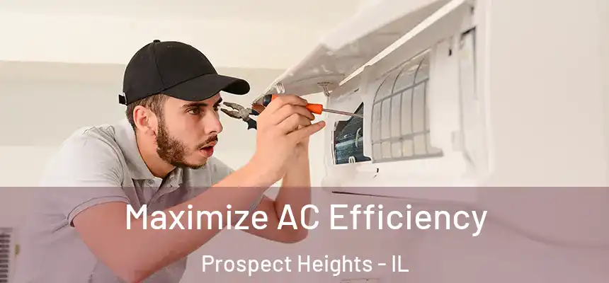 Maximize AC Efficiency Prospect Heights - IL