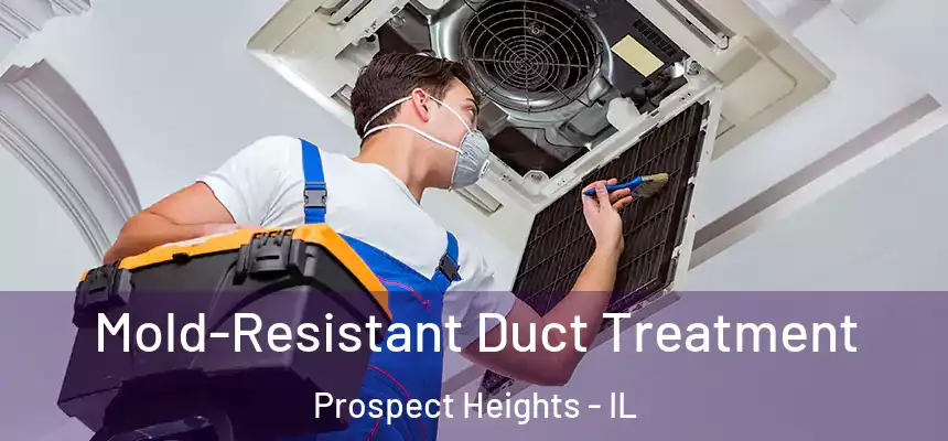 Mold-Resistant Duct Treatment Prospect Heights - IL
