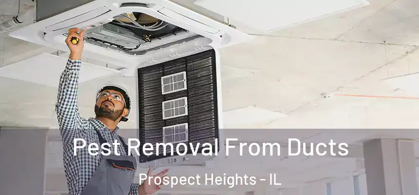  Pest Removal From Ducts Prospect Heights - IL