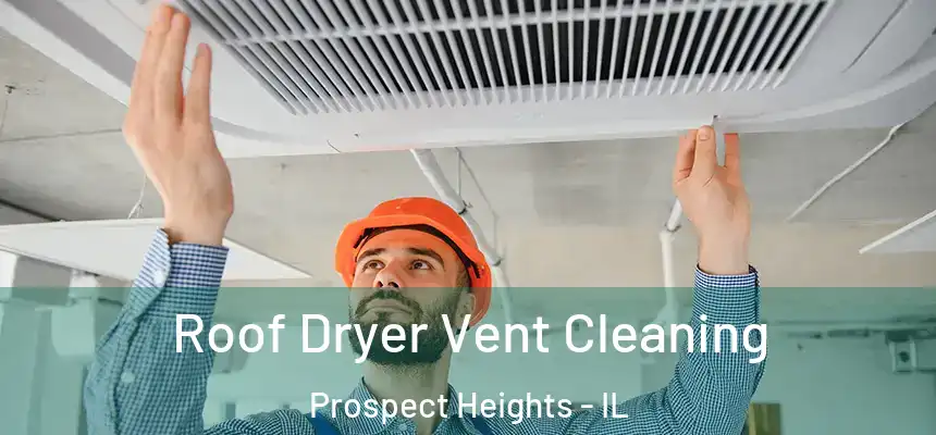 Roof Dryer Vent Cleaning Prospect Heights - IL