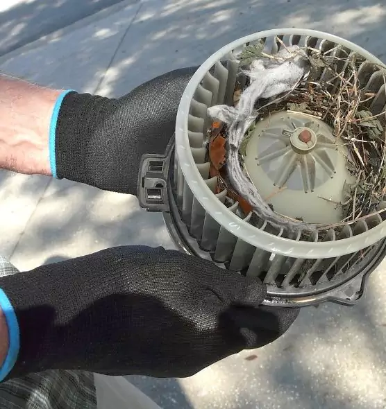 About Air Duct Rat Removal in Prospect Heights, IL