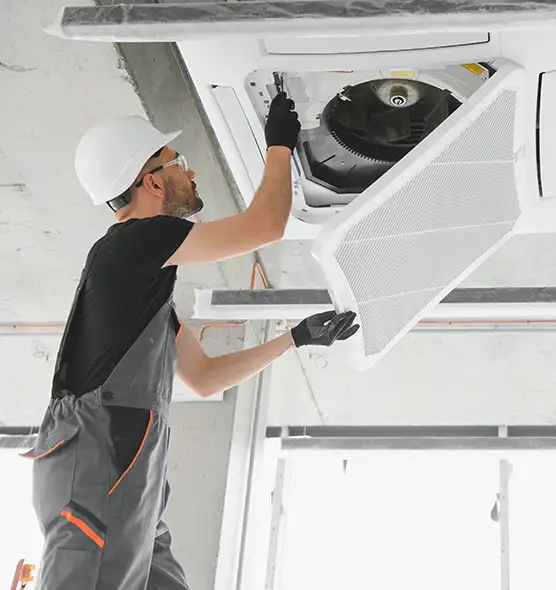 About Air Duct Rodent Removal in Prospect Heights, IL