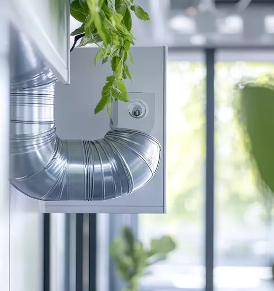 Professional Eco-Safe Dryer Vent Cleaning in Prospect Heights, IL