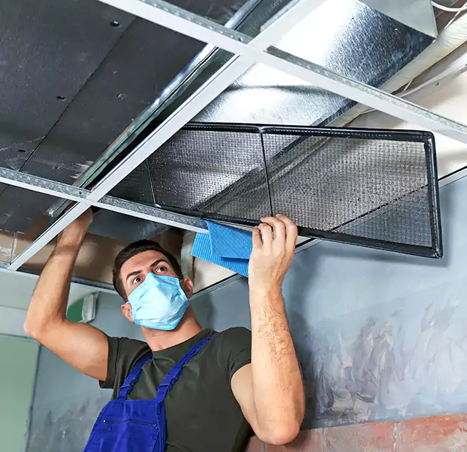 Why Homeowners Businesses Trust Us in Prospect Heights, IL