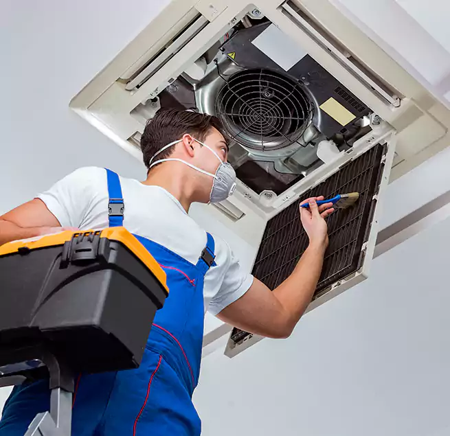 Why Homeowners & Businesses Trust Us in Prospect Heights, IL