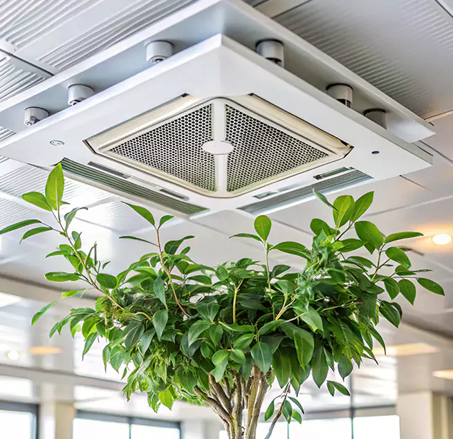 Why Homeowners & Businesses Trust Us in Prospect Heights, IL