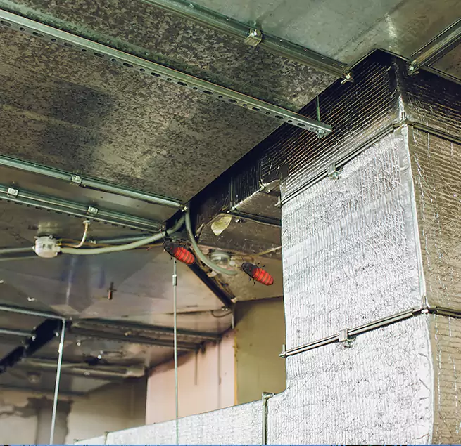 Why Homeowners & Businesses Trust Us Prospect Heights, IL?