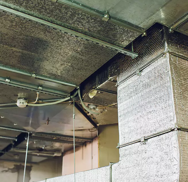 Why Homeowners & Businesses Trust Us in Prospect Heights, IL?