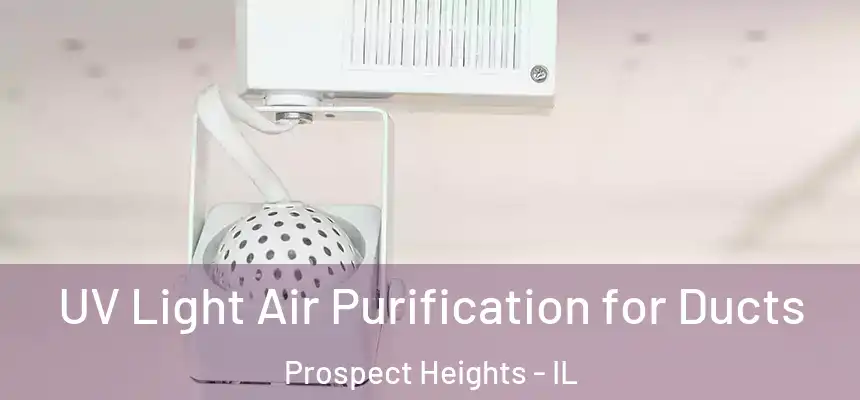  UV Light Air Purification for Ducts Prospect Heights - IL